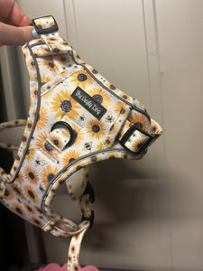 Sunpower Explorer Harness - *SECONDS *