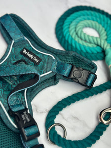 Seafoam Explorer Harness