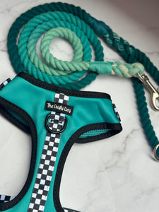 PAWcedes Bundle: Harness + Lead + PBH