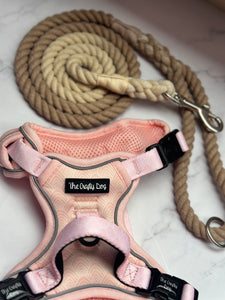 Coral Explorer Harness