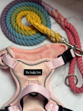 Load image into Gallery viewer, Sherbet Fizz Rope Lead