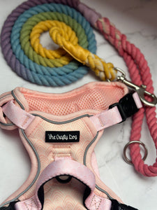 Sherbet Fizz Rope Lead