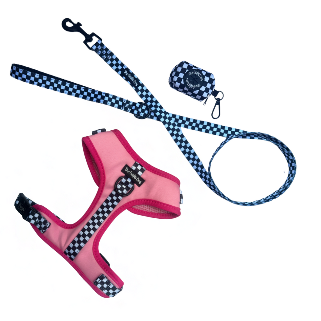 Girl Racer CHARITY Bundle: Harness + Lead + PBH
