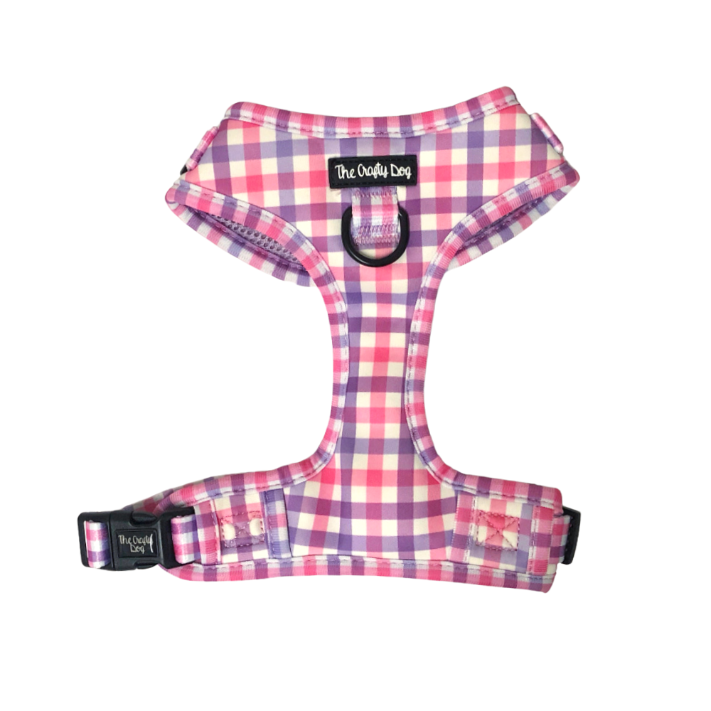 Puppia online plaid harness