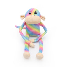 Load image into Gallery viewer, Zippy Paws - Monkey – Large Rainbow