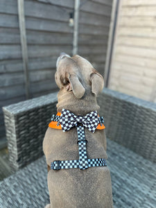 MCLAWren Harness