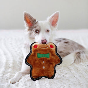 Zippy Paws - Holiday Z-Stitch® – Gingerbread Man (no stuffing)