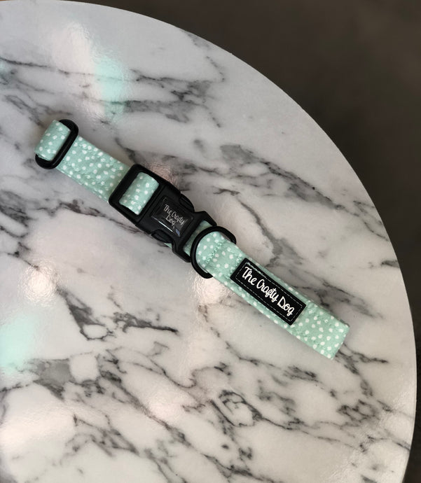 Mint Choc Chip