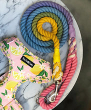 Load image into Gallery viewer, Sherbet Fizz Rope Lead