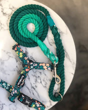 Load image into Gallery viewer, Emerald Rope Lead