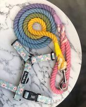 Load image into Gallery viewer, Sherbet Fizz Rope Lead