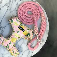Load image into Gallery viewer, Cotton Candy Rope Lead