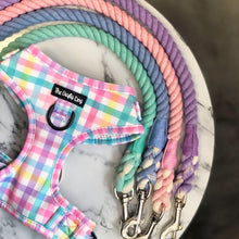 Load image into Gallery viewer, Picnic Plaid Bundle: Harness + Lead + PBH