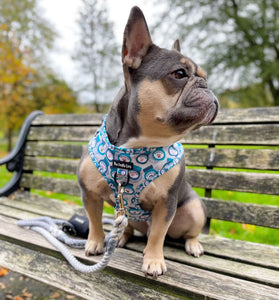 Barkmite Harness