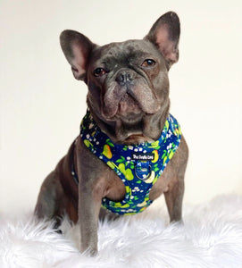 Pearfection Harness