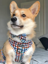 Load image into Gallery viewer, Grandad Plaid Harness
