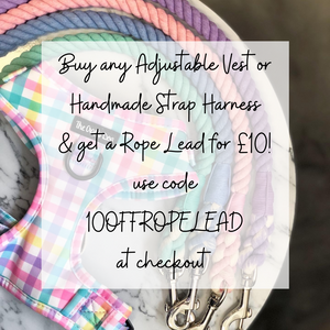 16th - 22nd May 2021 - £10 Off Rope Leads