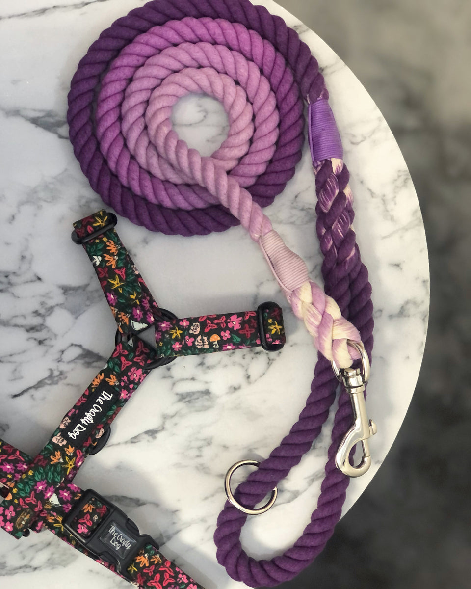 Plum Rope Lead – TheCraftyDogCo