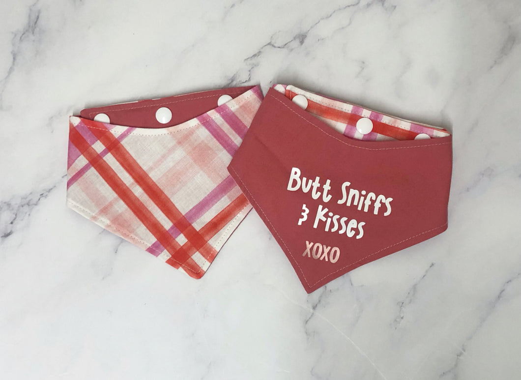 Valentines - Butt Sniffs + Kisses Bandana
