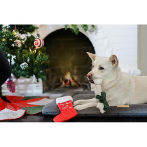 P.L.A.Y - Merry Woofmas Good Dog Stocking Dog Toy