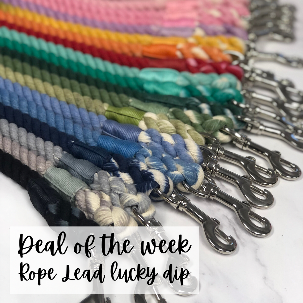 30th Jan - 5th February 2022 - Rope Lead Lucky Dip!