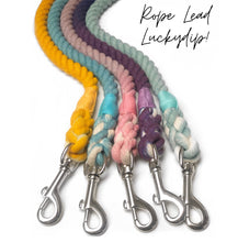 Load image into Gallery viewer, 23rd - 26th June - Rope Lead Lucky Dip! **SECONDS**