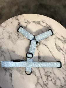 Blueberry Strap Harness